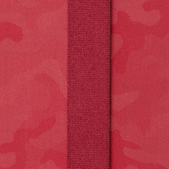 Записная книжка B5 "Tabyy Biggy" в клетку, красная